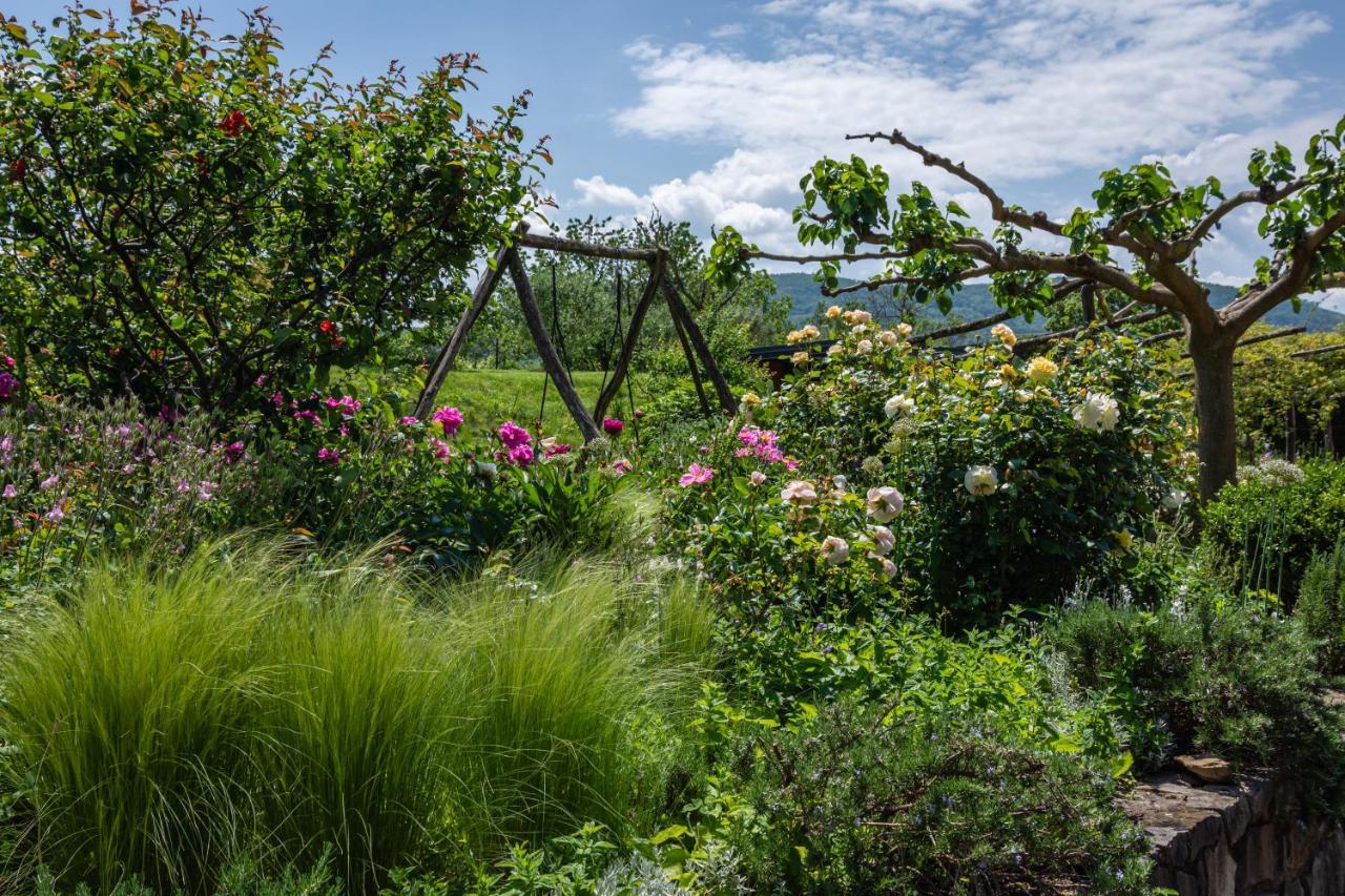 Rooms&Vinery Bregovi - Sobe In Vinska Klet Bregovi Dobravlje Dış mekan fotoğraf