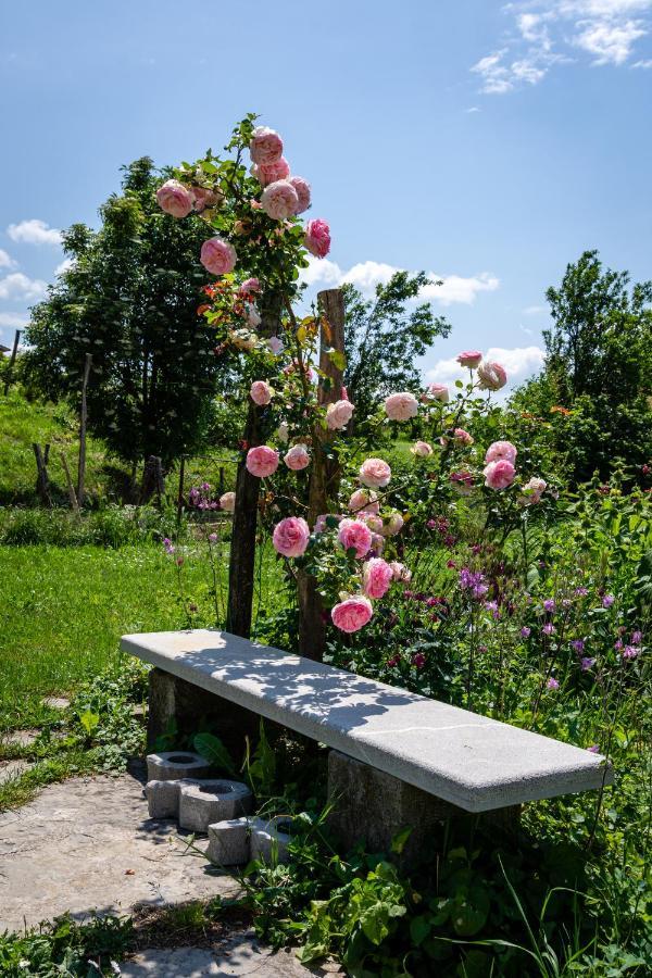 Rooms&Vinery Bregovi - Sobe In Vinska Klet Bregovi Dobravlje Dış mekan fotoğraf