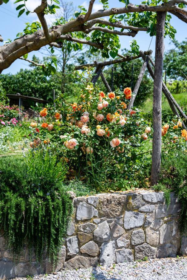 Rooms&Vinery Bregovi - Sobe In Vinska Klet Bregovi Dobravlje Dış mekan fotoğraf