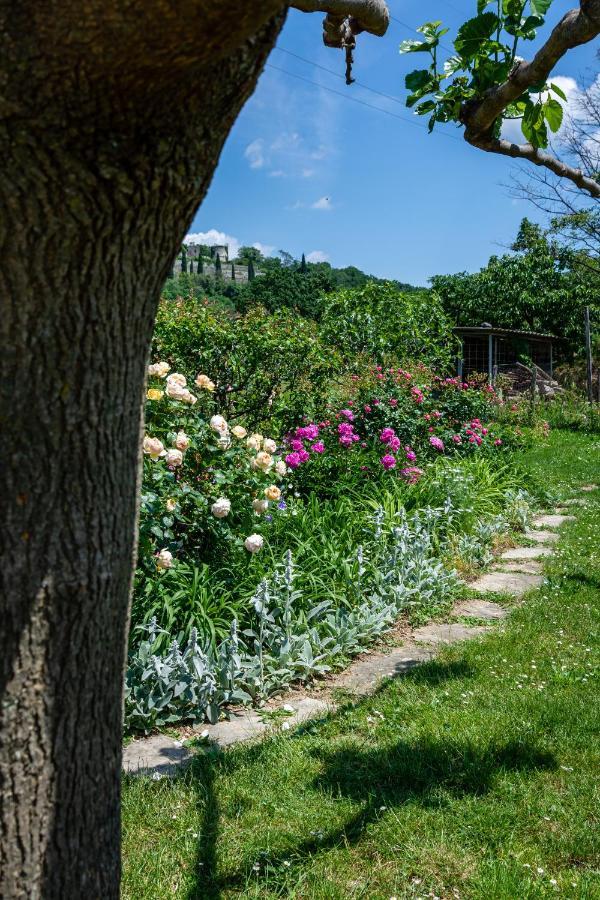 Rooms&Vinery Bregovi - Sobe In Vinska Klet Bregovi Dobravlje Dış mekan fotoğraf