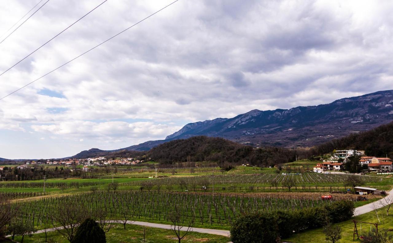 Rooms&Vinery Bregovi - Sobe In Vinska Klet Bregovi Dobravlje Dış mekan fotoğraf